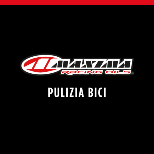 Pulizia Bici